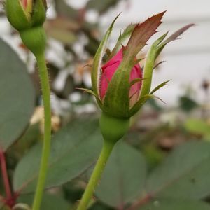 Meet your Posher, Jim